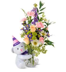 Teleflora's Party Bear in Virginia Beach VA, Posh Petals and Gifts