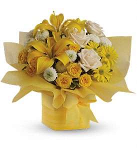 Teleflora's Sunshine Surprise in Virginia Beach VA, Posh Petals and Gifts