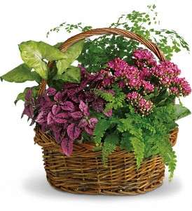 Secret Garden Basket in Virginia Beach VA, Posh Petals and Gifts