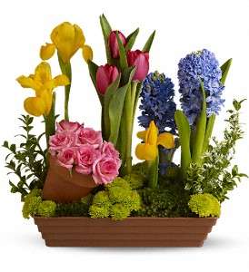 Spring Favorites in Virginia Beach VA, Posh Petals and Gifts