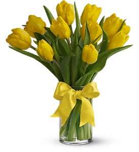 Sunny Yellow Tulips in Virginia Beach VA, Posh Petals and Gifts