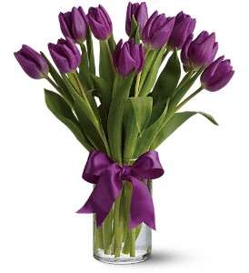 Passionate Purple Tulips in Virginia Beach VA, Posh Petals and Gifts