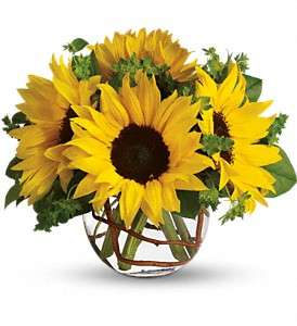 Sunny Sunflowers in Virginia BeachVA, Posh Petals and Gifts