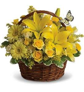 Basket Full of Wishes in Virginia Beach VA, Posh Petals and Gifts