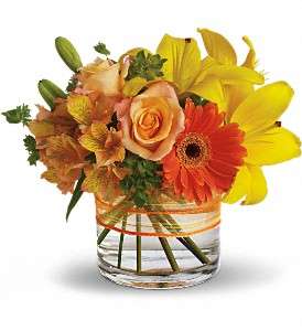 Sunny Siesta in Virginia Beach VA, Posh Petals and Gifts