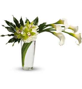 Moondance in Virginia Beach VA, Posh Petals and Gifts