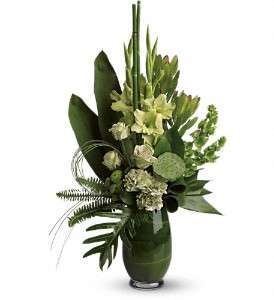 Limelight Bouquet in Virginia Beach VA, Posh Petals and Gifts