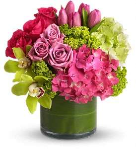 New Sensations in Virginia Beach VA, Posh Petals and Gifts