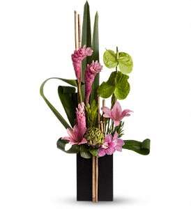Now and Zen in Virginia Beach VA, Posh Petals and Gifts