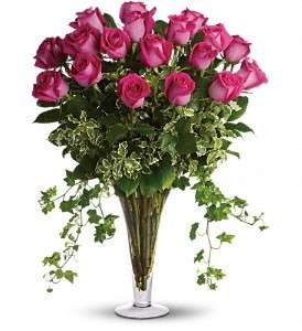 Dreaming in Pink - 18 Long Stemmed Pink Roses in Virginia Beach VA, Posh Petals and Gifts