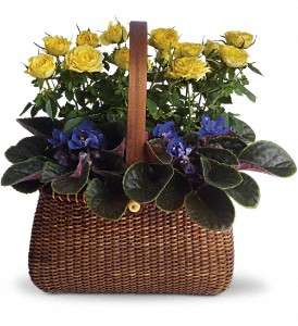 Garden To Go Basket in Virginia Beach VA, Posh Petals and Gifts