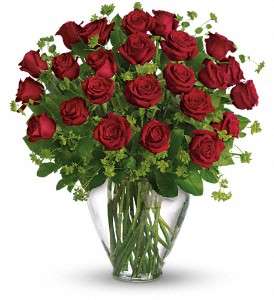My Perfect Love - Long Stemmed Red Roses in Virginia Beach VA, Posh Petals and Gifts