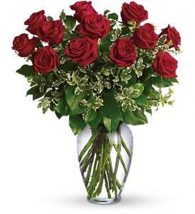 Always on My Mind - Long Stemmed Red Roses in Virginia BeachVA, Posh Petals and Gifts