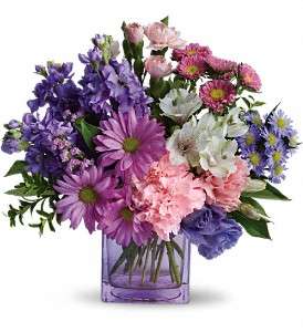 Heart's Delight by Teleflora in Virginia Beach VA, Posh Petals and Gifts