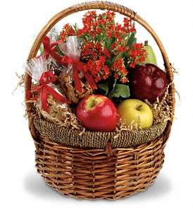 Health Nut Basket in Virginia Beach VA, Posh Petals and Gifts