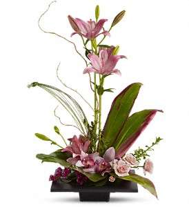 Imagination Blooms with Cymbidium Orchids in Virginia Beach VA, Posh Petals and Gifts