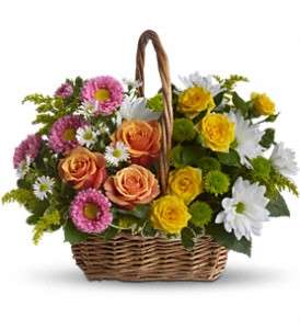 Sweet Tranquility Basket in Virginia BeachVA, Posh Petals and Gifts
