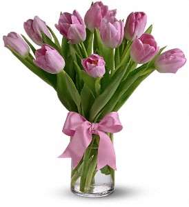 Precious Pink Tulips in Virginia Beach VA, Posh Petals and Gifts