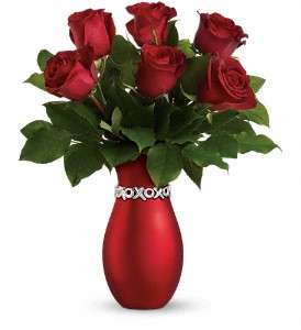 Teleflora's Endless Kisses - Long Stemmed Roses in Virginia Beach VA, Posh Petals and Gifts