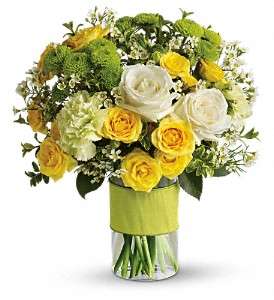 Your Sweet Smile by Teleflora in Virginia Beach VA, Posh Petals and Gifts