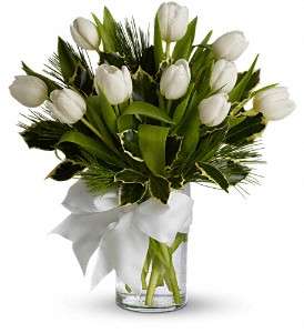Tulips and Pine in Virginia Beach VA, Posh Petals and Gifts