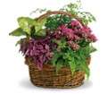 Secret Garden Basket in Virginia Beach VA Posh Petals and Gifts