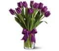 Passionate Purple Tulips in Virginia Beach VA Posh Petals and Gifts