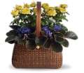 Garden To Go Basket in Virginia Beach VA Posh Petals and Gifts