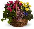 Blooming Garden Basket in Virginia Beach VA Posh Petals and Gifts