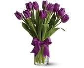 Passionate Purple Tulips in Virginia Beach VA Posh Petals and Gifts