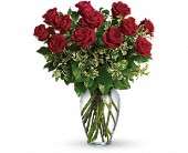 Always on My Mind - Long Stemmed Red Roses in Virginia Beach VA Posh Petals and Gifts