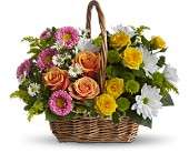 Sweet Tranquility Basket in Virginia Beach VA Posh Petals and Gifts