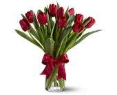 Radiantly Red Tulips in Virginia Beach VA Posh Petals and Gifts