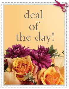 Deal of the Day in Virginia Beach VA, Posh Petals and Gifts